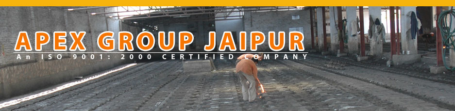 APEX Group Jaipur